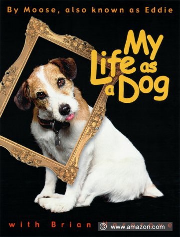 ムースの自伝「My Life as a Dog」