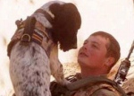 アフガニスタンで爆弾探知犬として活躍していたイングリッシュスプリンガースパニエルのテオ