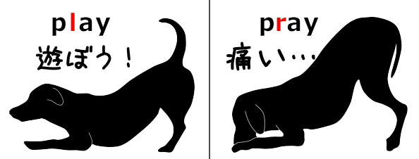 犬におけるおじぎと祈りの姿勢の違い