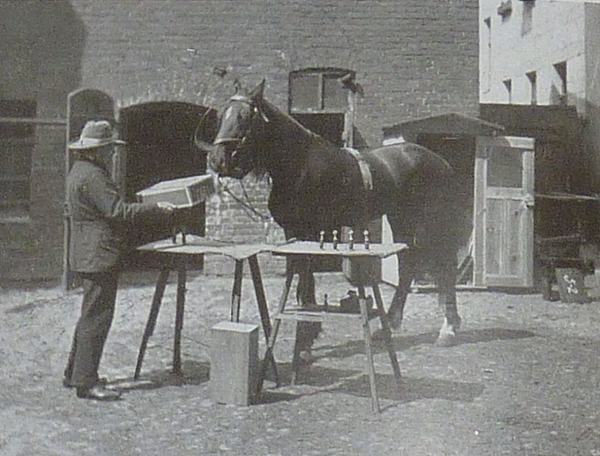 計算ができる馬として有名になったハンス（1909年）