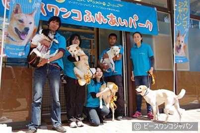 犬の殺処分ゼロのために活動を続ける「ピースワンコ・ジャパン」プロジェクト