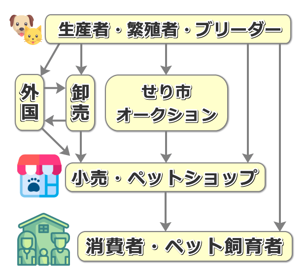 日本国内における犬猫の流通経路・模式図