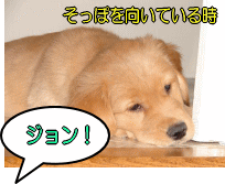 そっぽを向いているタイミングで犬の名前を呼んでみるときの手順です。