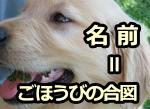 犬にとって名前はごほうびの合図