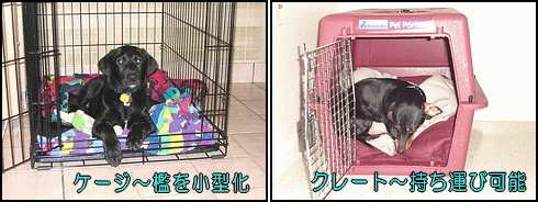 犬のハウスとしては檻を小型化したケージや、取っ手がついて持ち運びもできるクレートなどがあります。