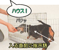 犬がハウスに入ったタイミングで指示語を聞かせる