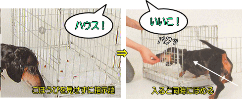 指示語だけでハウスを実行させる