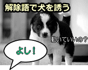 待て状態を解除する解除語を合わせて教え込みましょう。