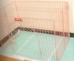 犬にとってわかりやすいトイレの設置が先決