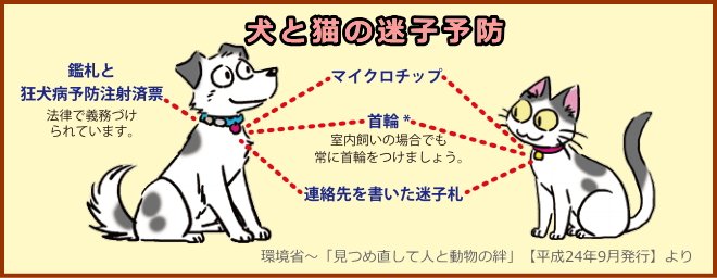 犬と猫の迷子予防のための迷子札やマイクロチップ