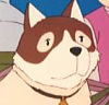 1970年代に日本でアニメ化された「フランダースの犬」のパトラッシュ