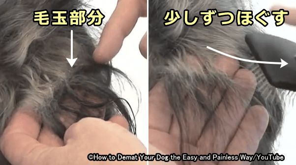 直毛が絡んで毛玉を形成している場合は、スリッカーブラシで少しずつもつれをほぐしていく