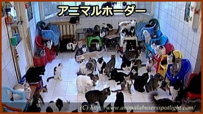 無節操に動物を多頭飼育する、通称「アニマルホーダー」（アニマルコレクター）