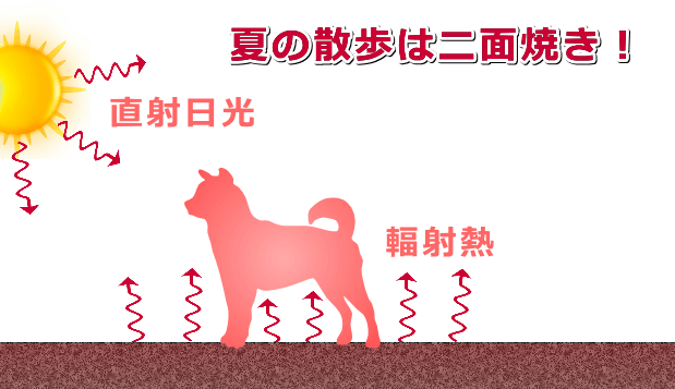 暑い日の散歩は太陽の直射日光と地面からの輻射熱で二面焼き状態