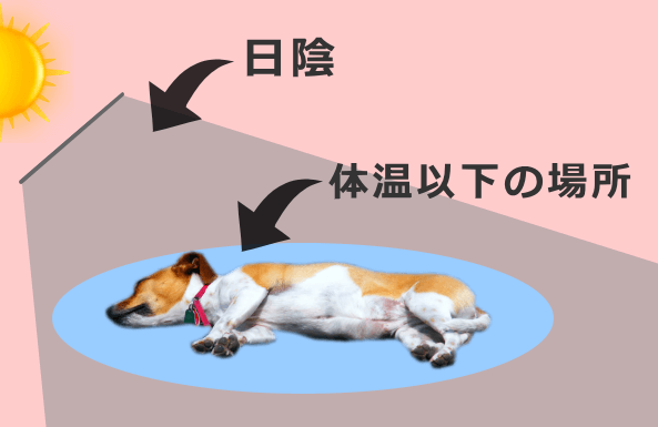 犬の熱中症応急処置～まずは日陰につれていき体温よりも低い場所に横たわらせる