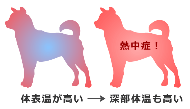 発熱メカニズムがうまく機能せず、体表温も深部体温も高くなった状態が熱中症