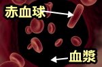 血管内における血球と血漿