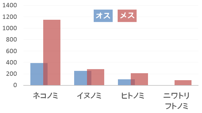 犬に食いつくノミとしては国や地域を問わずネコノミが多い