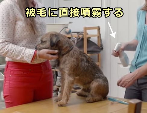 被毛に直接噴霧するタイプの駆除薬は犬が舐め取ってしまうリスク大