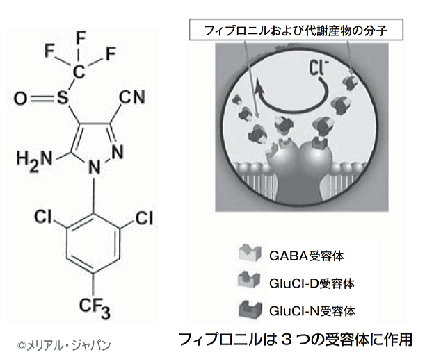 犬向けノミダニ駆除製品 フロントライン の効果と副作用 子犬のへや