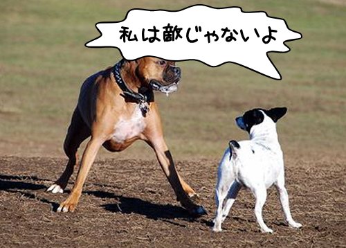 「犬が円を描きながら近づく」・解答と解説