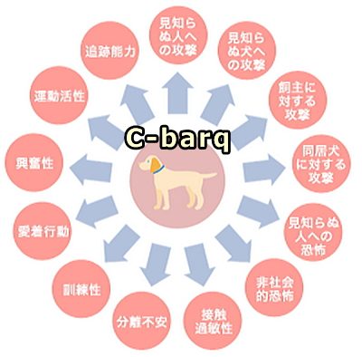 C-barqにおいて指標とされる犬の代表的な行動特性13種