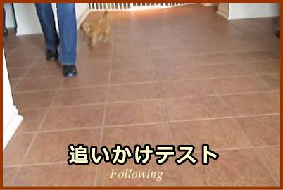 追いかけテスト（Following）の具体的なやり方