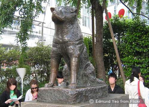 渋谷のハチ公像