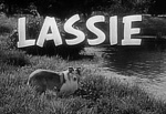 1954年からスタートした長寿TVシリーズ「ラッシー」