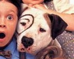 1994年いリメイクされた映画「The Little Rascals」の中に登場する「子犬のピート」