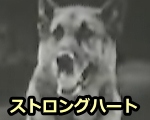 1920年代、すでに俳優犬としての地位を確立していたジャーマンシェパードの「ストロングハート」