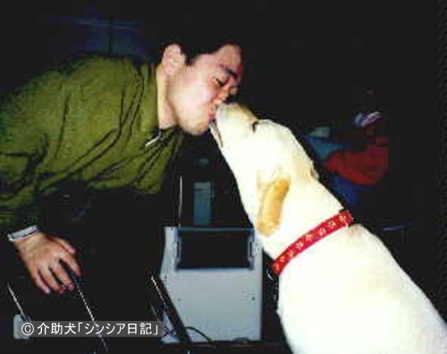 木村さんとキスする在りし日のシンシア