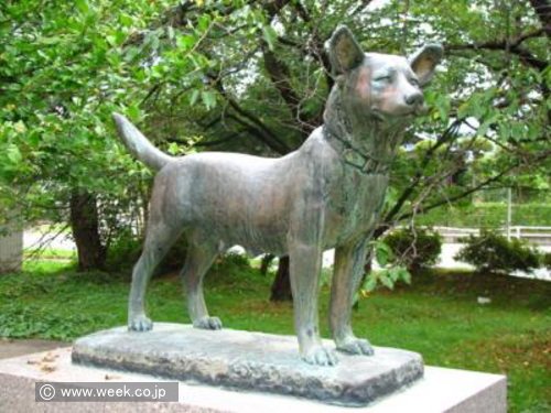 松村公園内にある忠犬タマの銅像