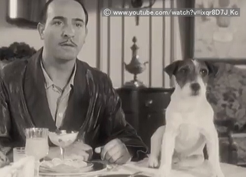 アギー Uggie 映画 アーティスト に出演したことで有名な犬 子犬のへや