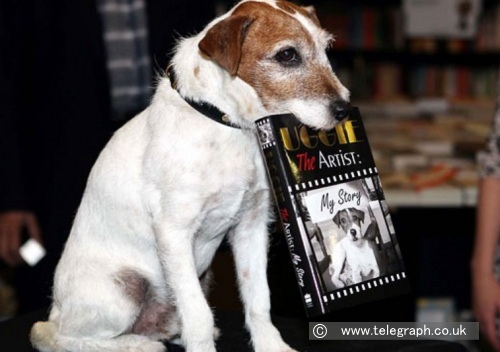 自伝「Uggie, My Story」を口にくわえてPRするアギー