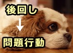 子供がいる家庭においては、犬のストレスサインが見過ごされがち