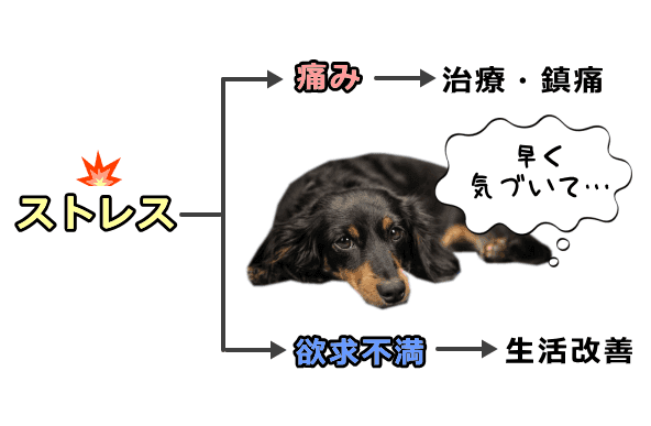 犬のストレスを考える際は、肉体的な「痛み」と精神的な「不快」をまずは見分けることが重要