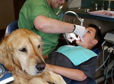 イリノイ州にある小児歯科で働くセラピードッグ「ジョジョ」
