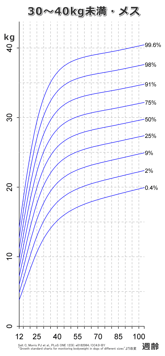 子犬の標準的な成長カーブ（曲線）～30～40kg未満・メス