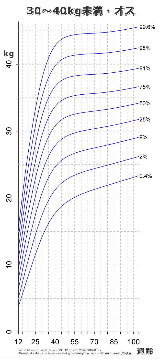子犬の標準的な成長カーブ（曲線）～30～40kg未満・オス