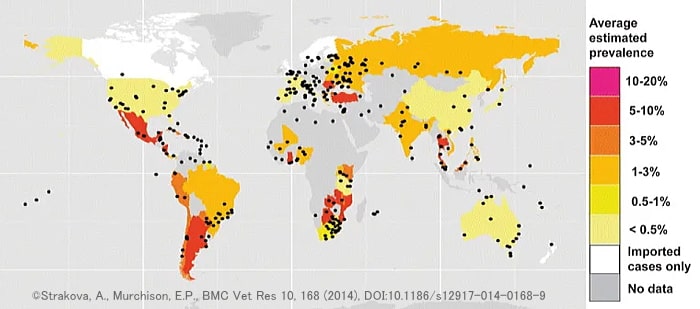世界におけるイヌ可移植性性器肉腫（CTVT）の有病率マップ