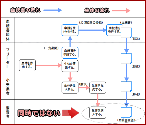 血統書と生体の流通模式図