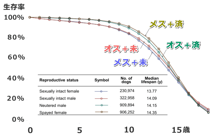 性腺切除術と残存確率の関係グラフ