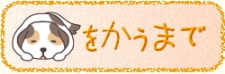 犬を飼うまでに備えておきたい知識一覧です