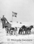 南極探検におけるロアールアムンセンと犬ぞりチーム