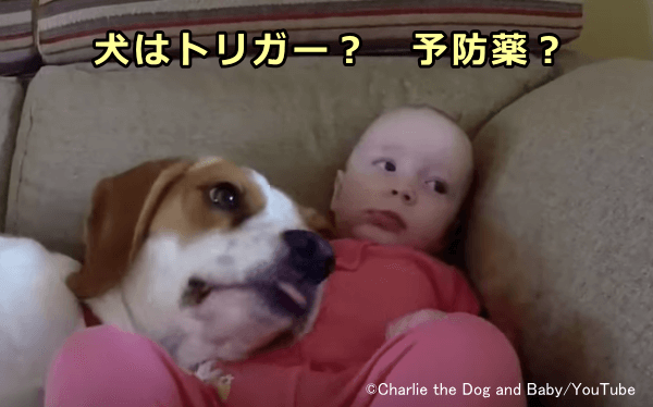 乳幼児期の犬の飼育とアレルギー発症率の因果関係は不明