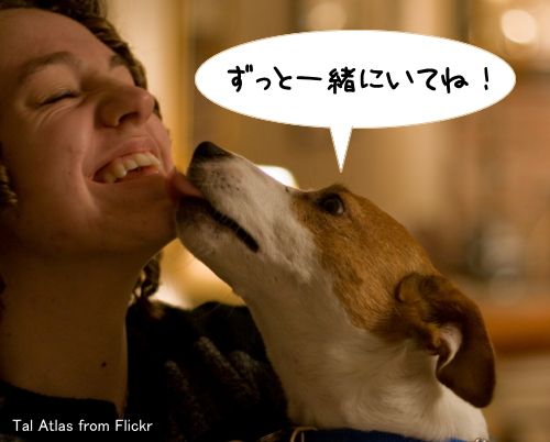 「犬が飼い主の口をなめる」・解答と解説