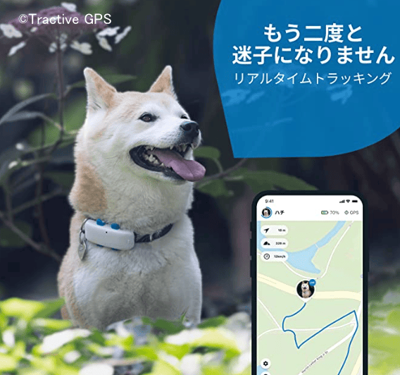 GPSによる迷子犬探し商品「Tractive GPS」