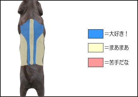 犬の背をマッサージしたとき、大好きな場所、まあまあの場所、苦手な場所に分けて図示しました。