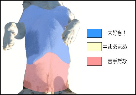 犬の胸をマッサージしたとき、大好きな場所、まあまあの場所、苦手な場所に分けて図示しました。